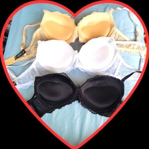 Daisy Fuente Elegant Lace Intimates Pushup Bra Set- Cream, White, and Black 36C